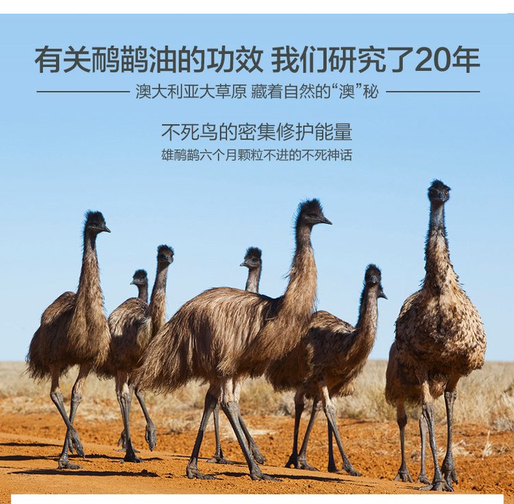 按摩膏鸸鹋油批发 美容院线排寒排湿理疗小白膏_71a54b63.jpg